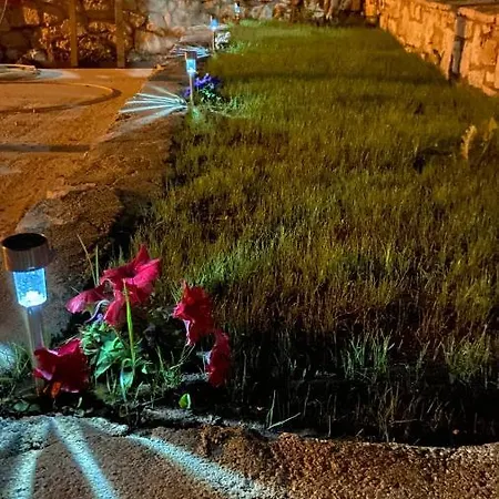 Studios&apartment Niko Luka Daire Ksamil