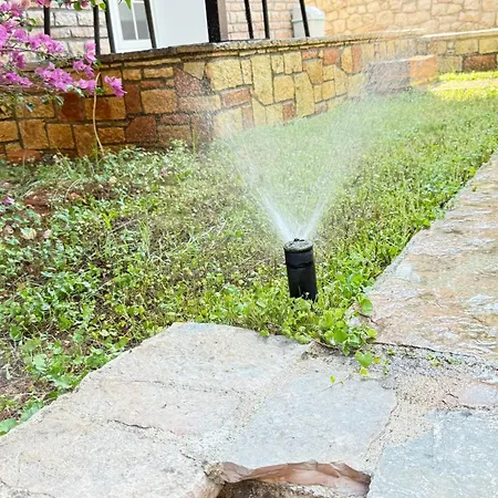 Studios&apartment Niko Luka Daire